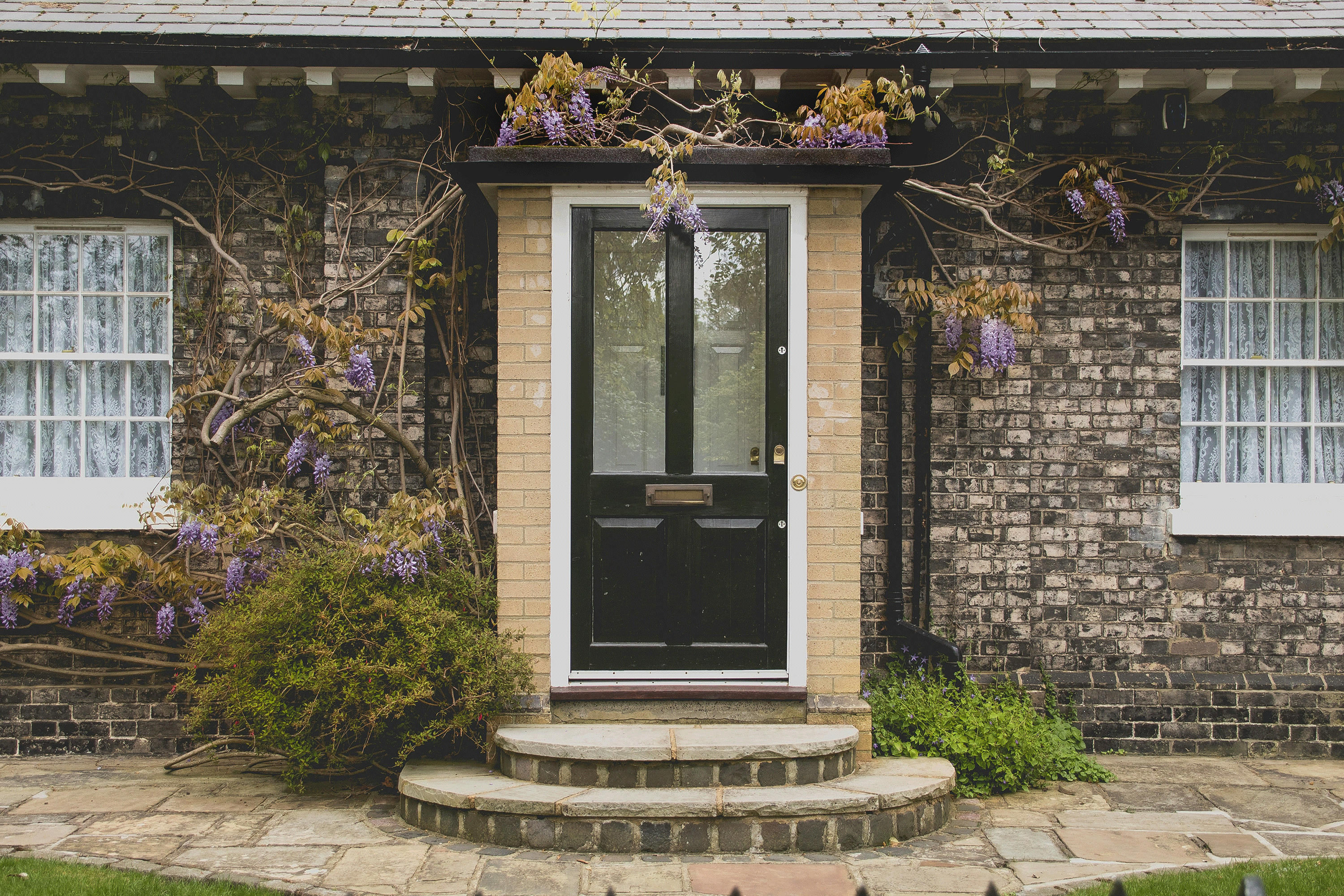 Front door and wisteria flowers